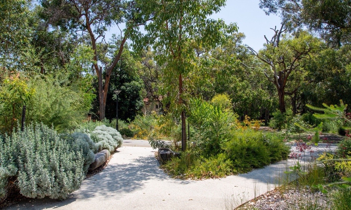 澳大利亚 Bilya Marlee 土著研究学院丨UDLA-18