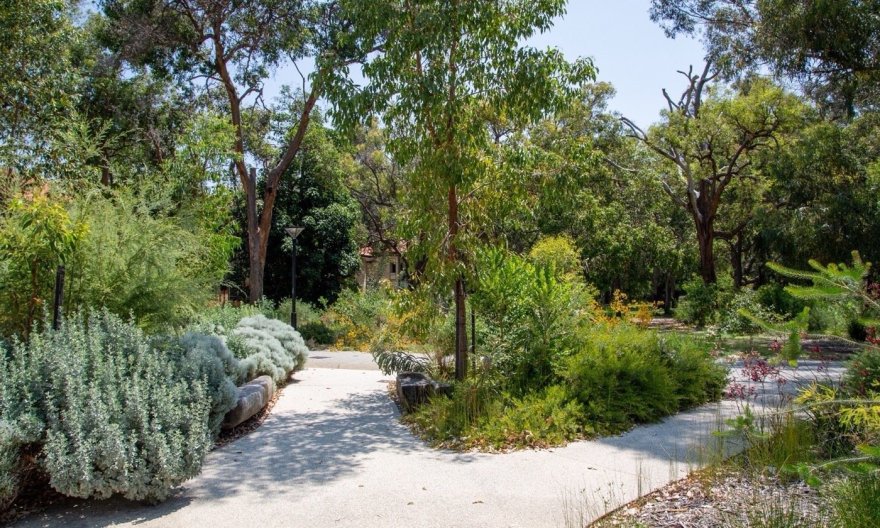 澳大利亚 Bilya Marlee 土著研究学院丨UDLA-18