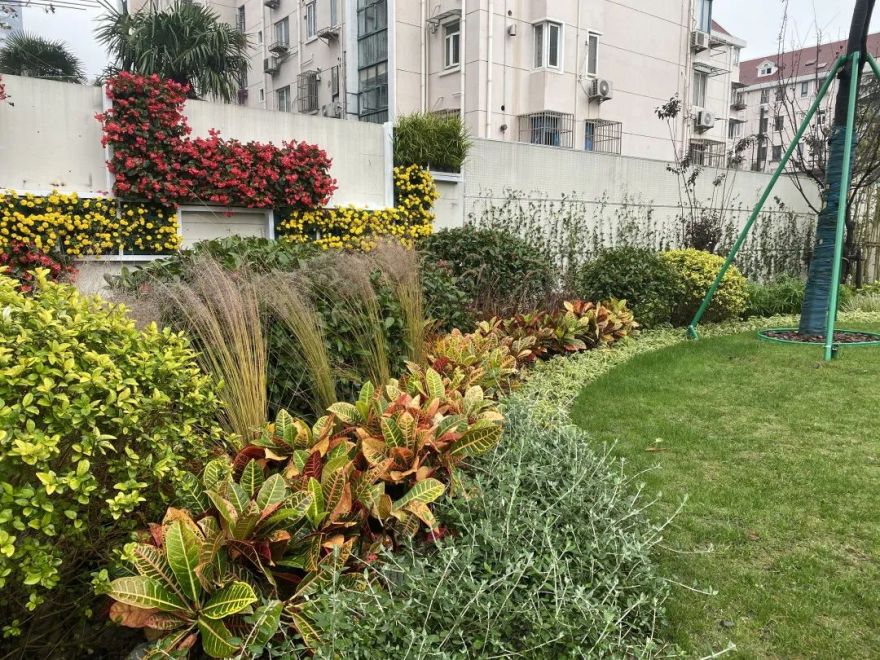 颜值爆表!长宁区有一处街心花园建成开放-27