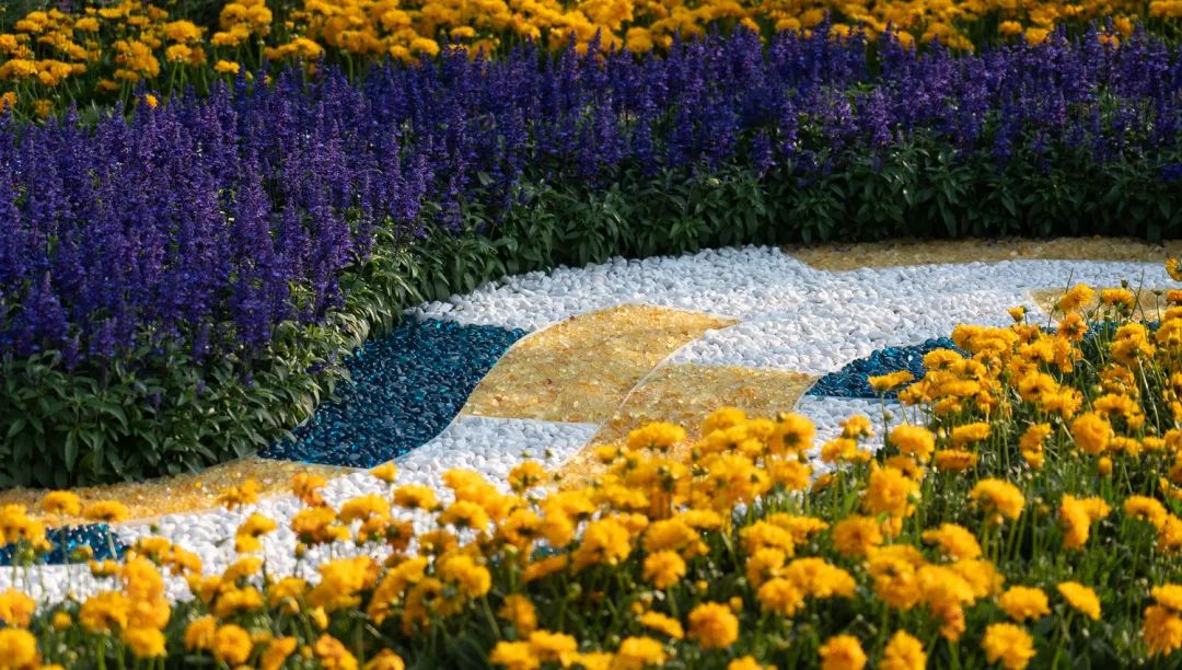 梵高梦花园丨中国深圳丨木杉景观-36