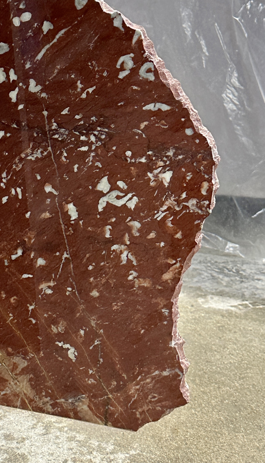 坎帕纳德尔雷伊朗姆酒吧丨德国慕尼黑丨Buero Wagner-27