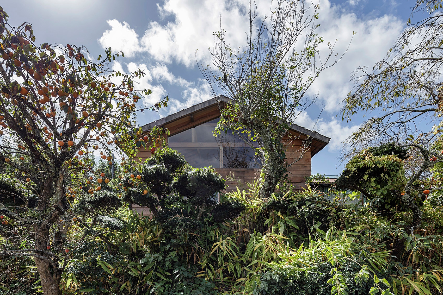 日本市原生活和工作委员会办公室丨日本千叶丨kurosawa kawaraten-11