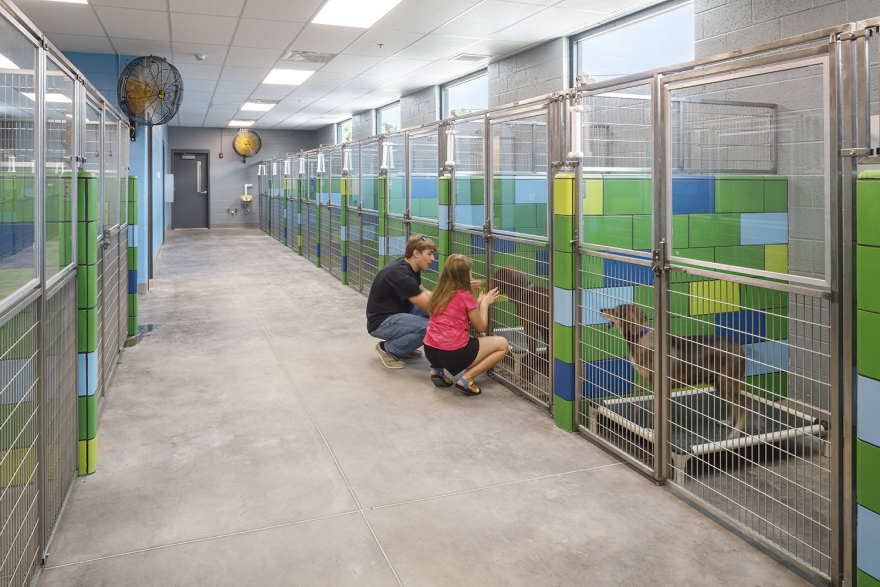杰克逊县动物收容所丨Silling Architects-19