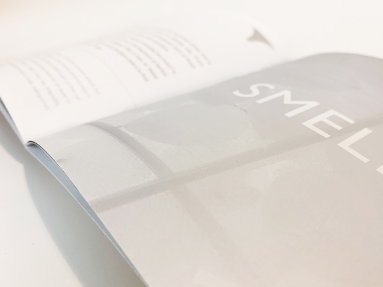 2019 印度臺灣形象展文化臺灣館-6