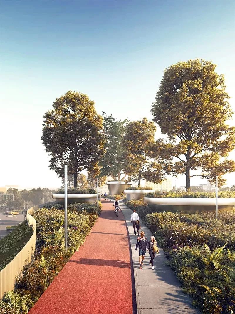 生态飘带景观桥丨澳大利亚堪培拉丨CX landscape-42