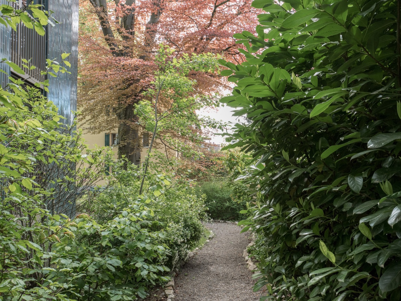 融合历史与自然的瑞士住宅设计-10