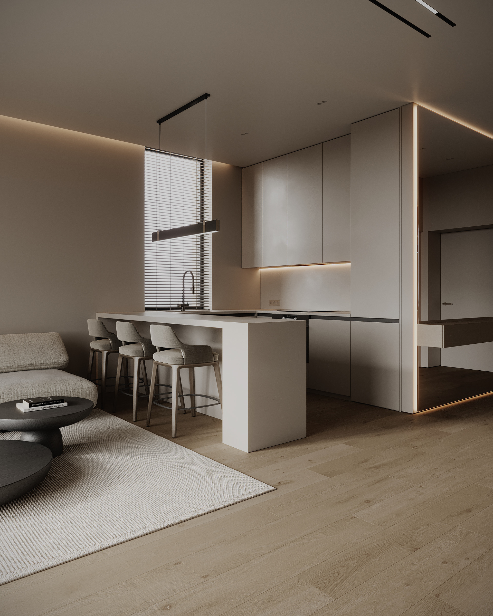 极简风格的房子丨乌克兰丨Anna Vitalievna-1