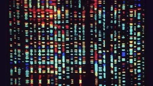 《Science》公布的 125 个最具挑战性的科学问题,你感兴趣的是哪个?-134