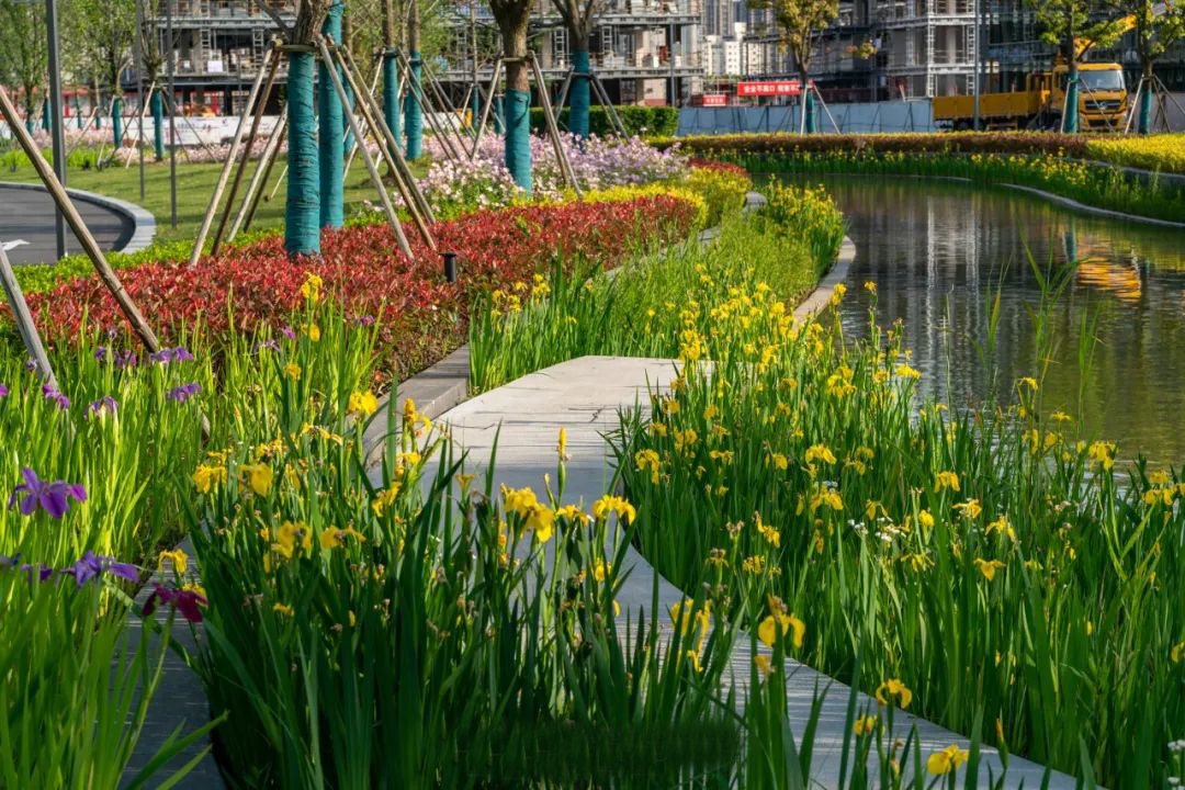 上海“科技绿洲”高端园区景观丨中国上海-25