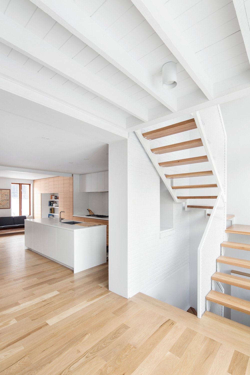 百年老屋与古树的共生对话-9