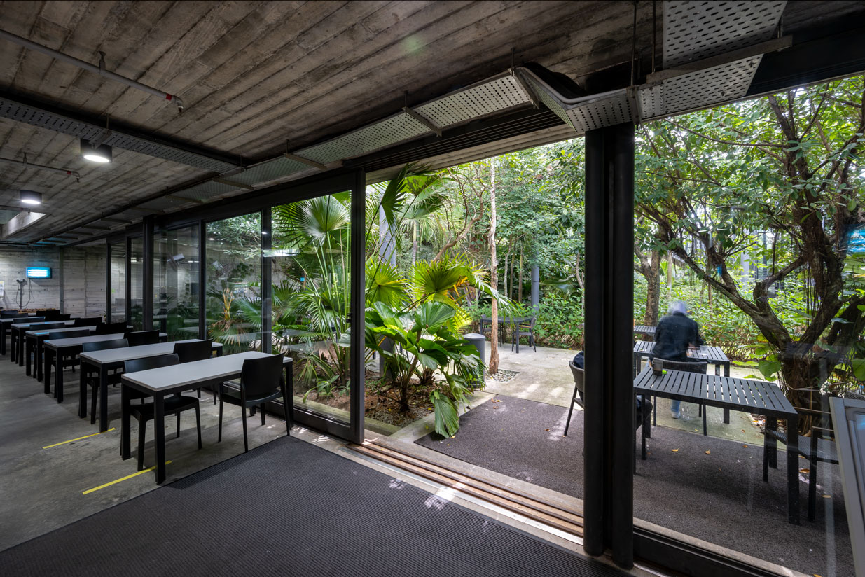 槟城森林中的工厂丨马来西亚槟城-17