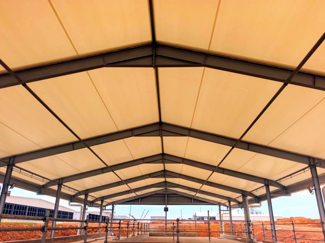 东南亚奶牛有了“中国造”新家！中建八局这个项目竣工交付-40