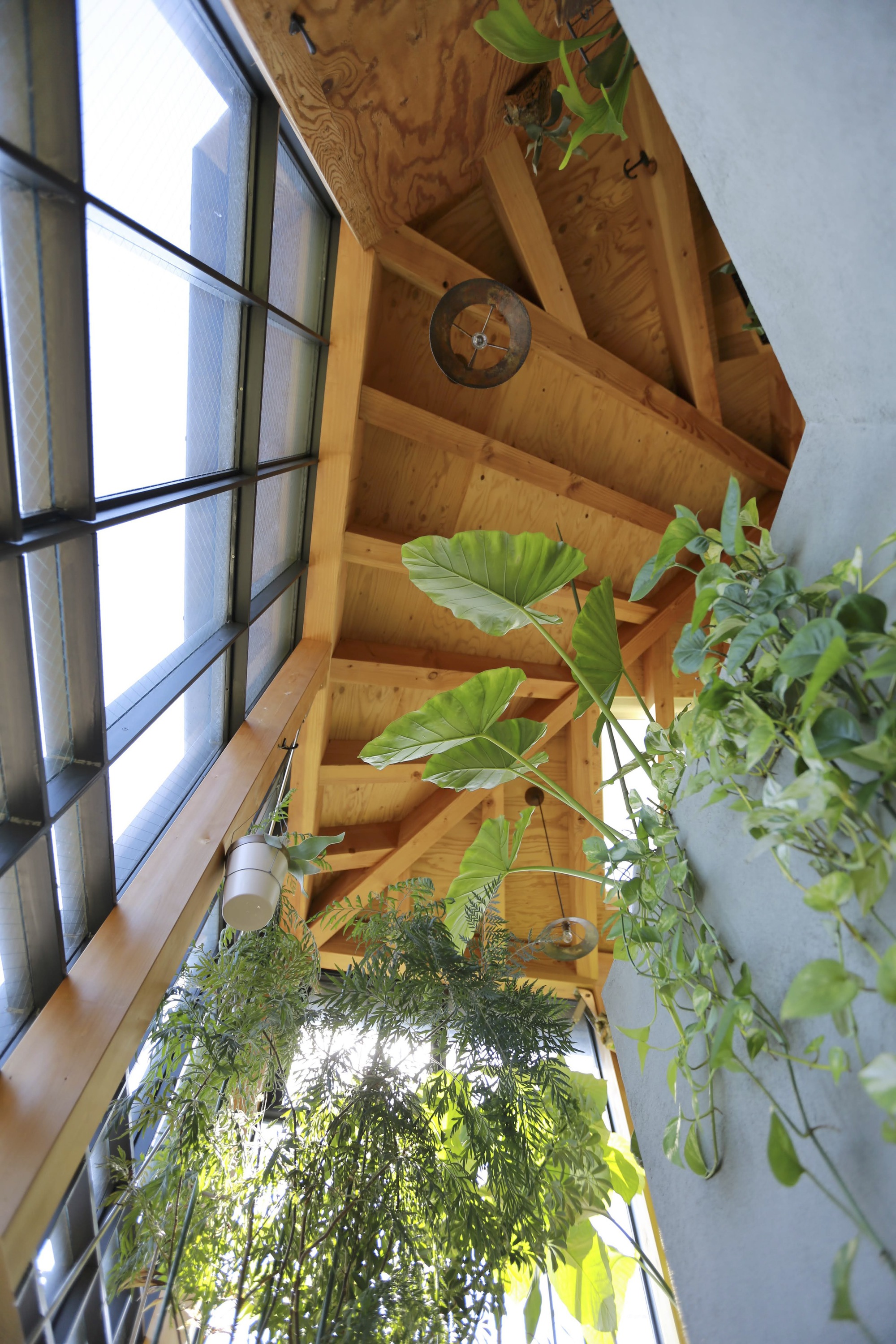 木本之家丨日本丨Niko Design Studio-32