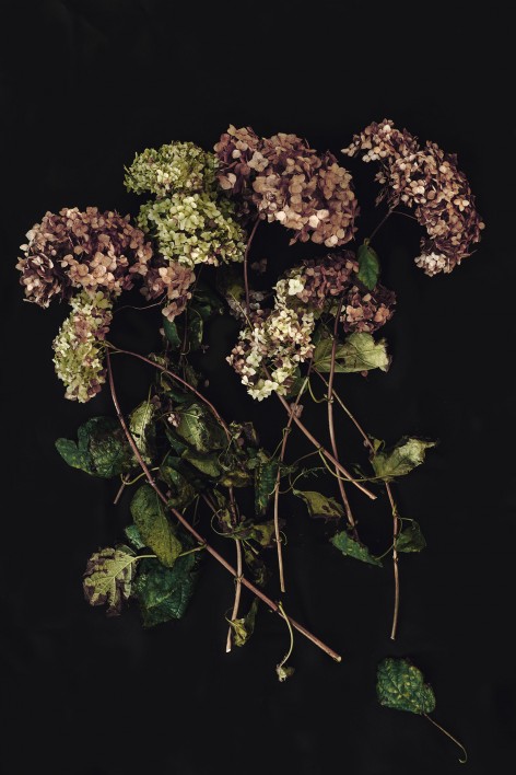 幻影天堂 · 热带深渊-9