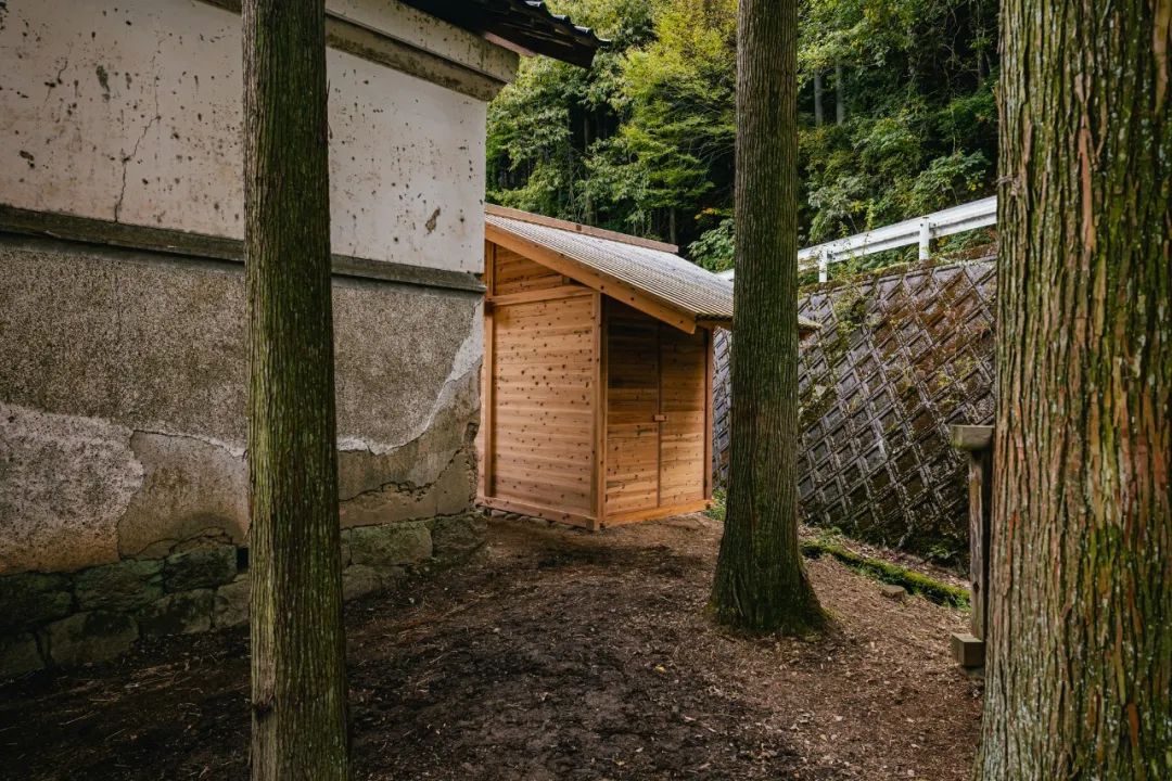 马术圣拉蒙丨墨西哥丨Módica Ledezma-98