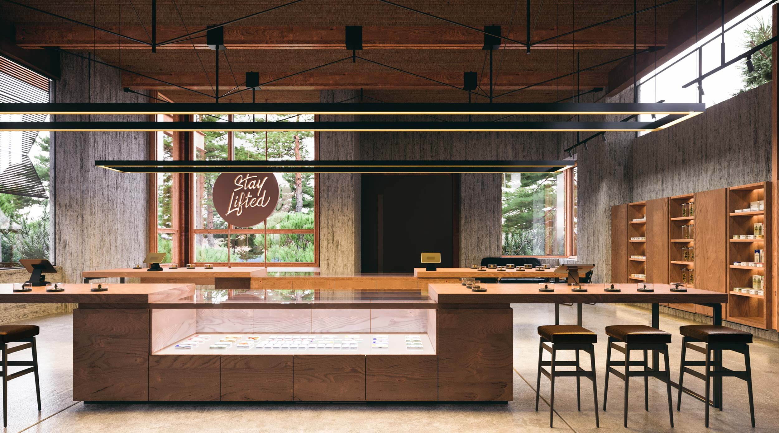 零售店，SOUTH LAKE TAHOE MIXED USE Archillusion-3