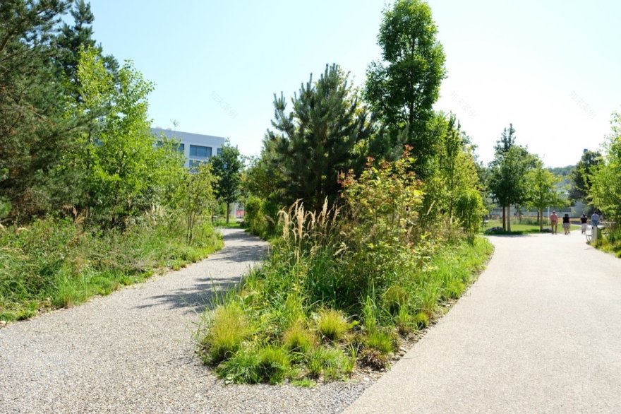 瑞士中央公园罗氏校园丨Bryum-14