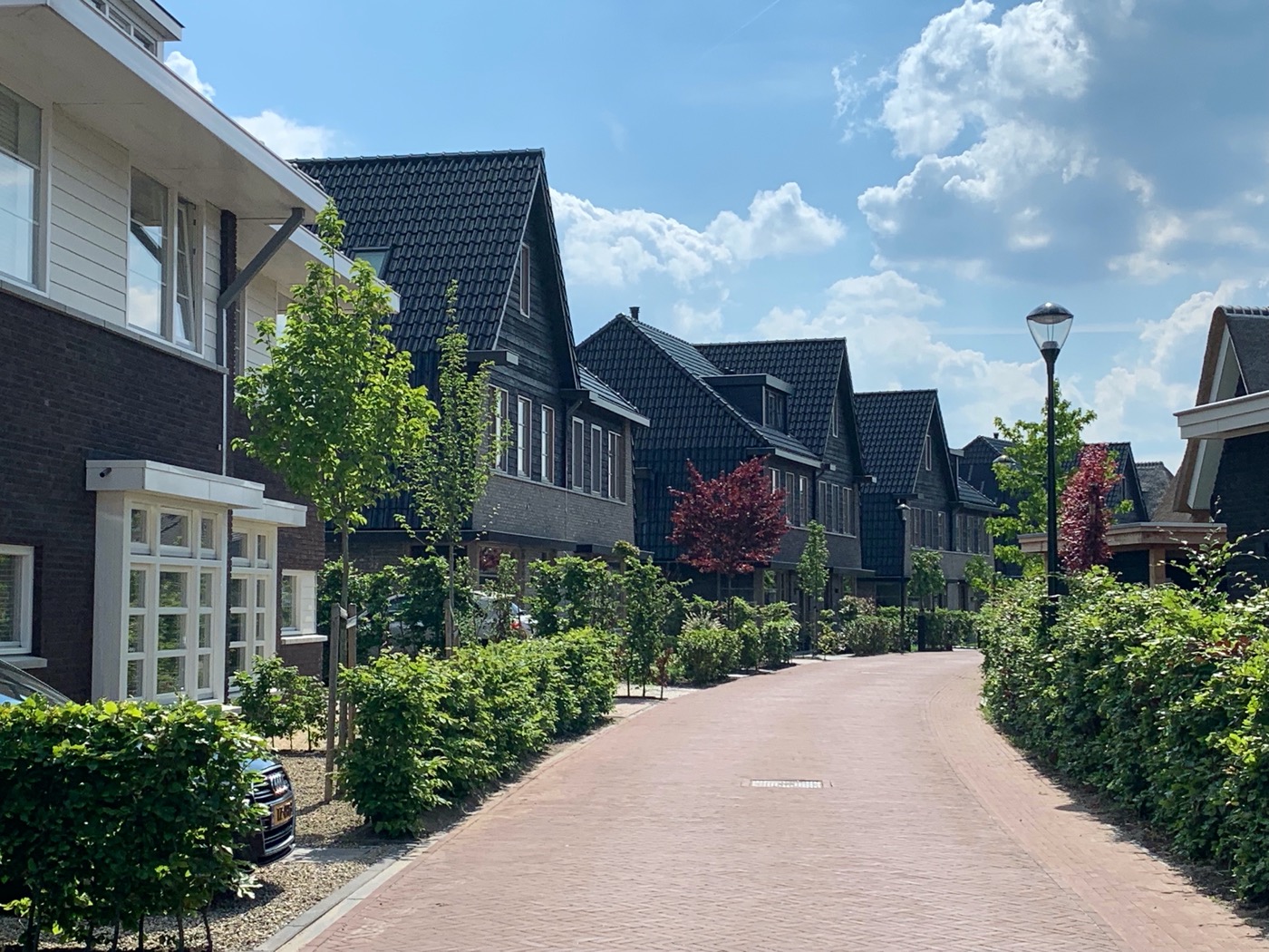 荷兰线性公园丨LOOSvanVLIET-32