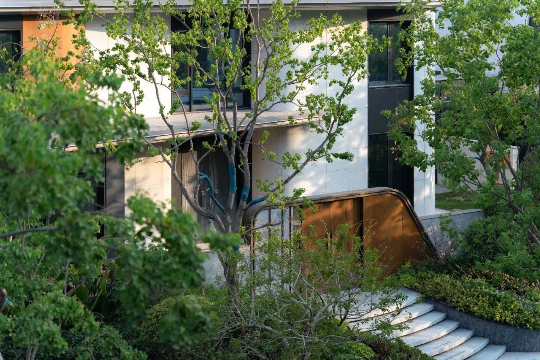 香港置地·天湖岛丨中国重庆丨重庆犁墨景观规划设计咨询有限公司-69