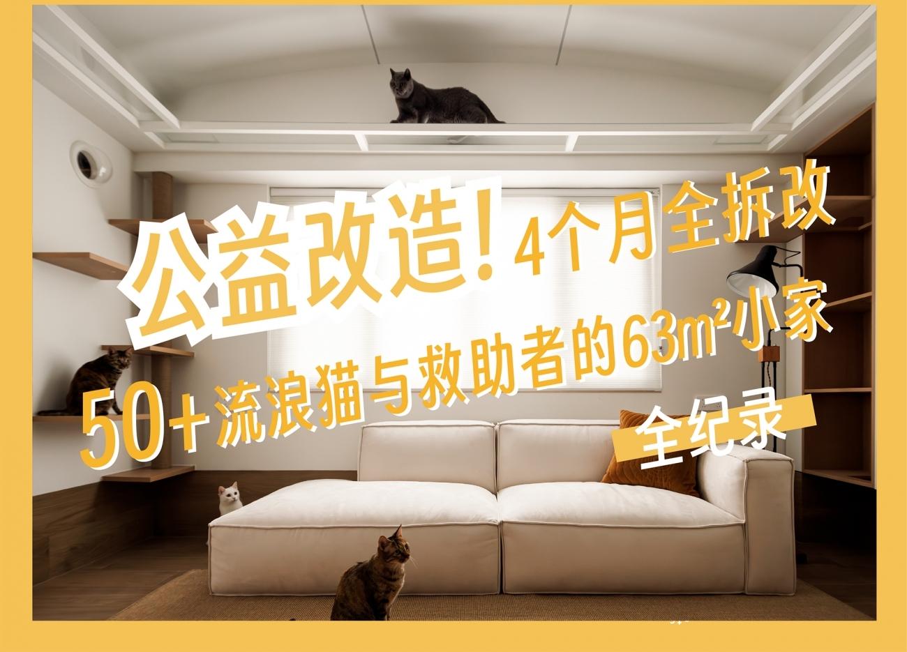 63㎡老房爆改流浪猫之家丨中国厦门丨理居设计-0