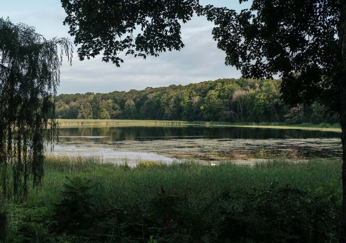 Lake Lydiard Estate住宅丨美国丨Wittman Estes-27