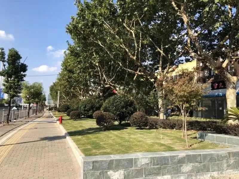 《九里亭景观更新规划与实践》 | 精致共享共治,呈现松江新貌-121