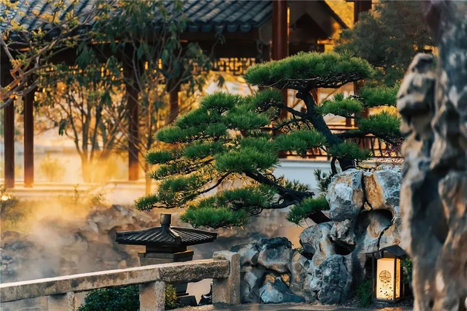 上海世博文化公园北区丨上海建筑设计研究院有限公司-40