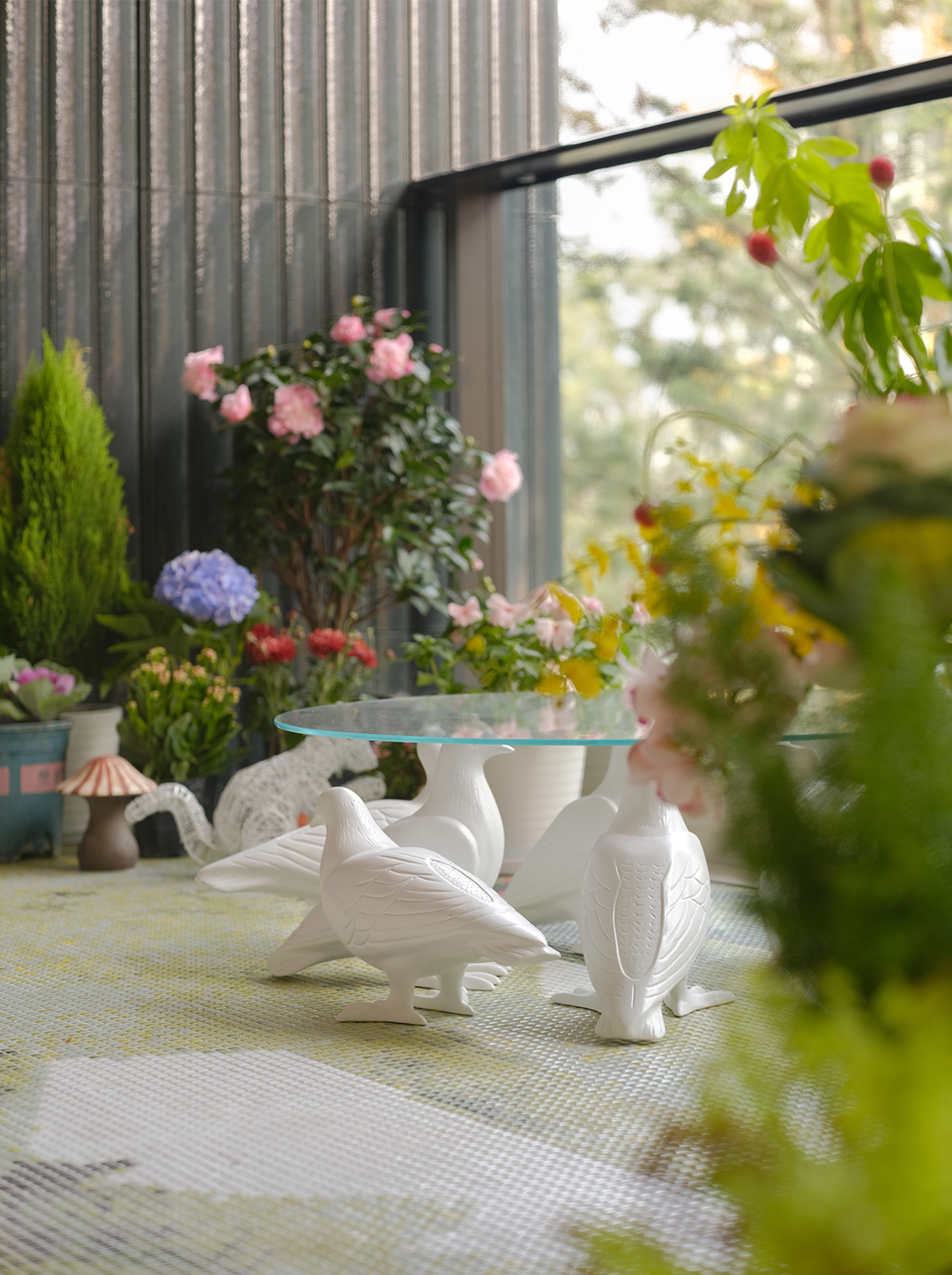 紫香舸 | 被阳光唤醒的午后，温柔且热烈-16