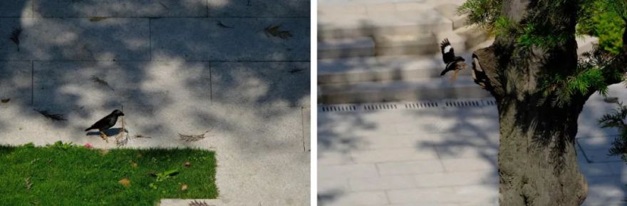 鹭潮·鼓浪屿美院丨中国厦门丨GND杰地景观-47