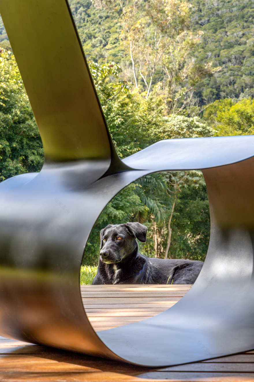 Videiras山谷中的住宅,巴西 / Rodrigo Simão Arquitetura-60