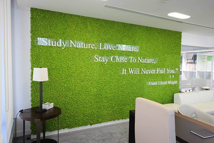 A message in moss -1