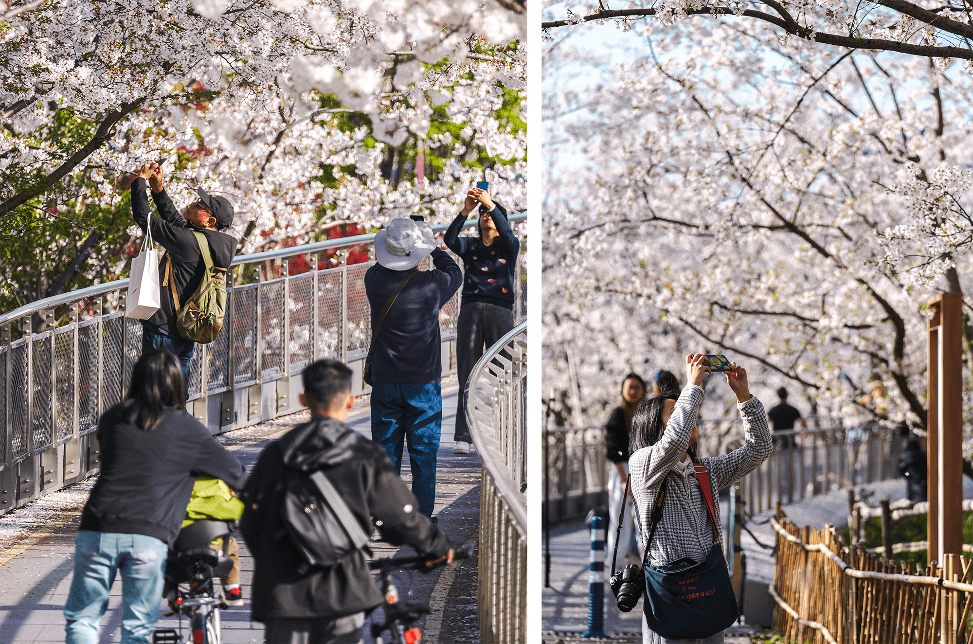 运河亚运公园 (拱墅区运河体育公园)丨中国杭州丨景观概念AECOM,景观深化杭州园林设计院等多家-12