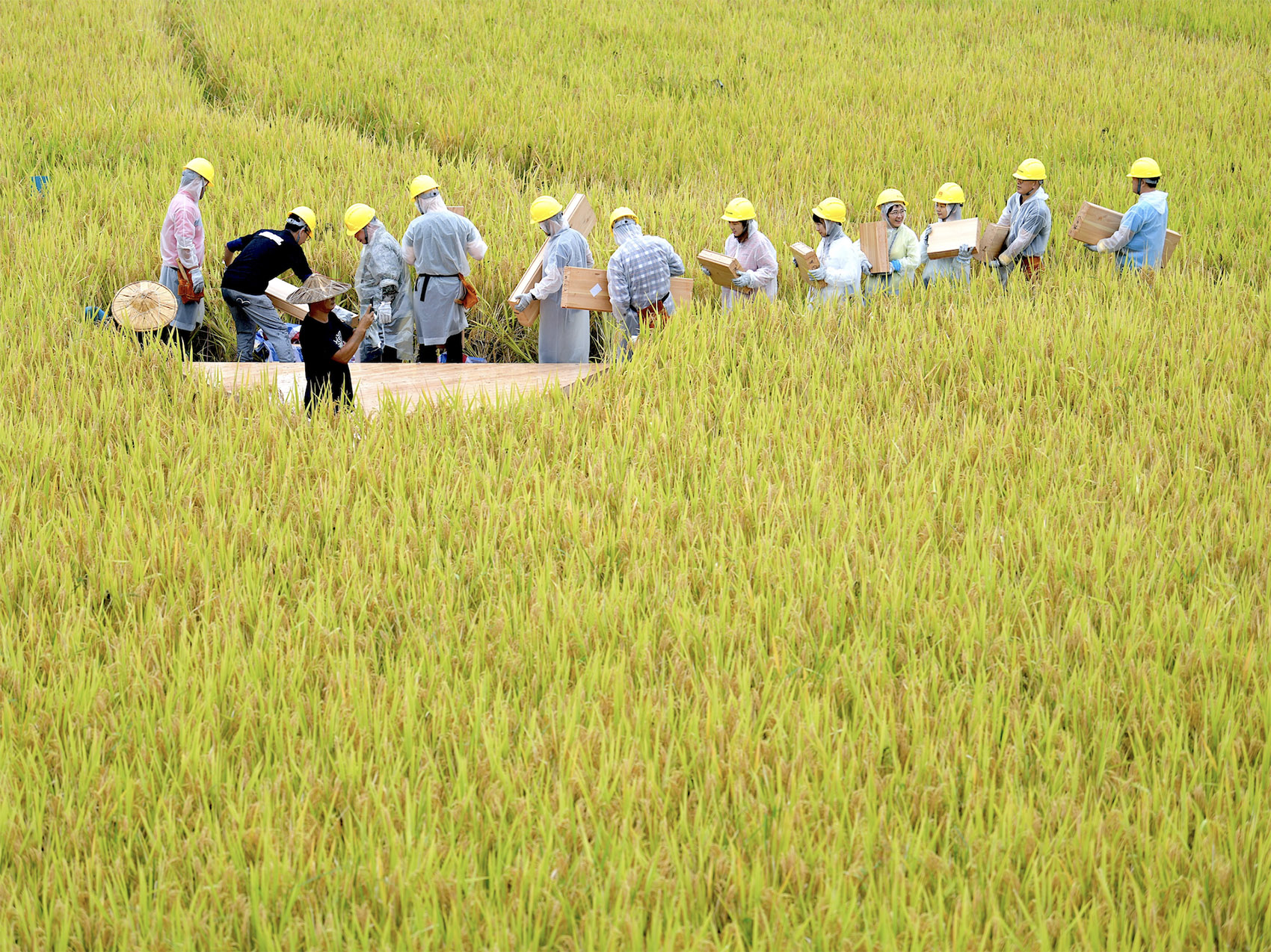 青石寨的稻亭和稻场,福建 / 个个世界+先进建筑实验室-54