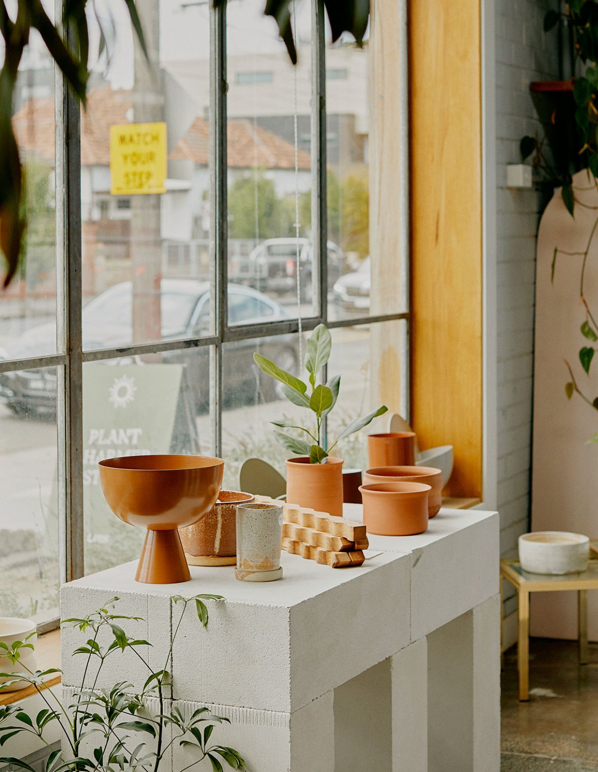 Plant Charmer 零售空间设计-10