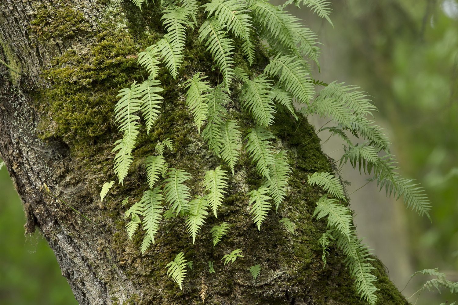 丨美国华盛顿-24