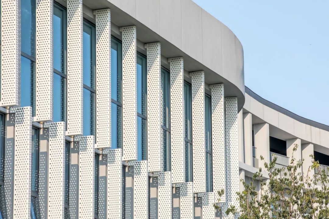 【AT】启迪设计新作｜南京大学苏州附属小学，滋养生命韧性的立体教科书-87