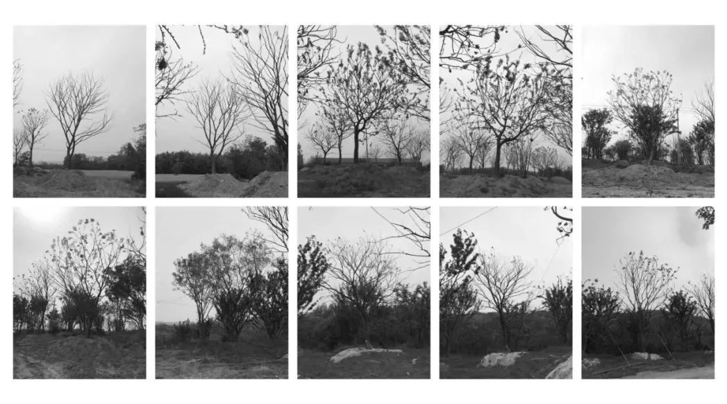 金地中心丨中国盐城丨LAURENT罗朗景观-87