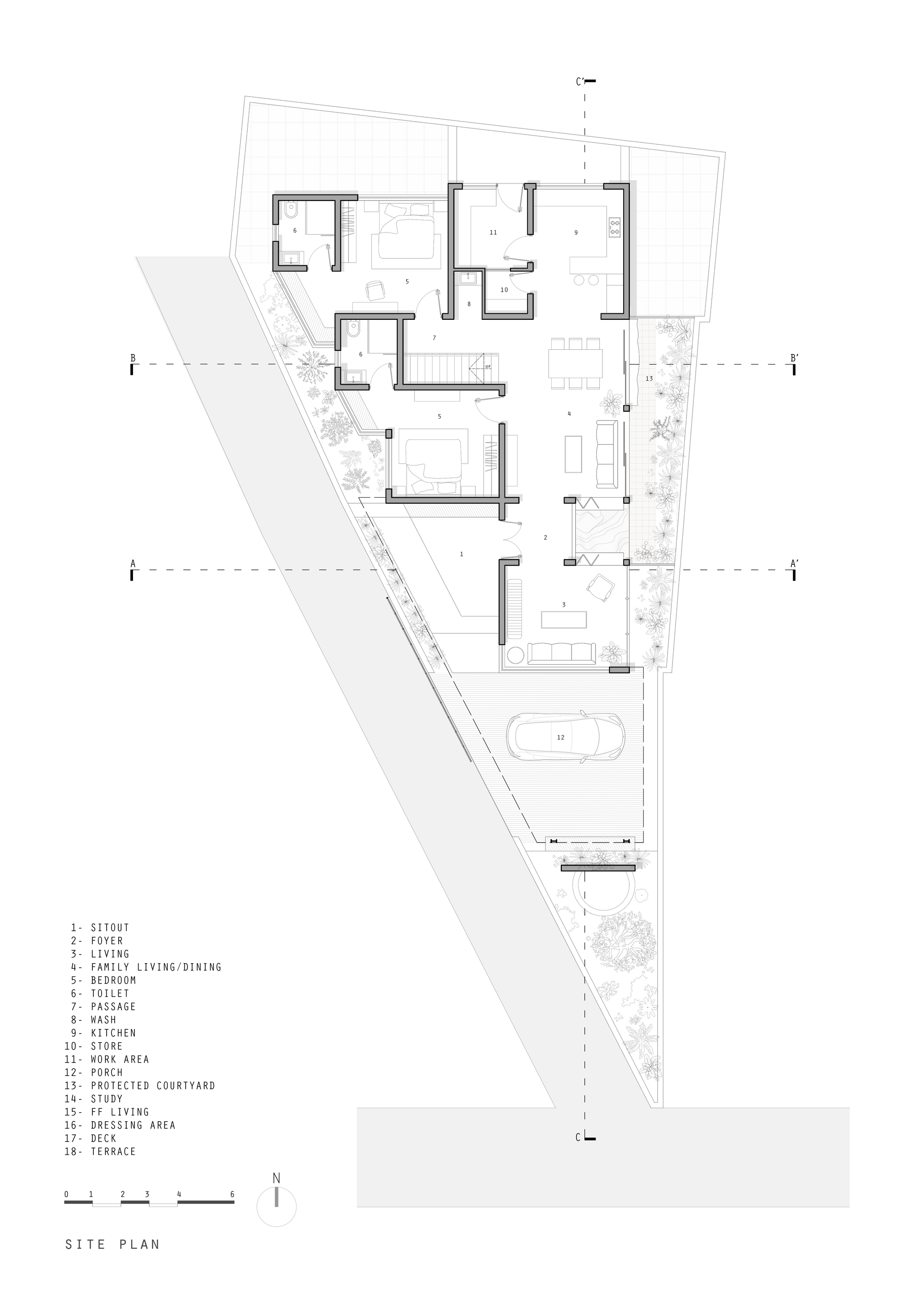 丨印度丨TROPICAL TONES-19