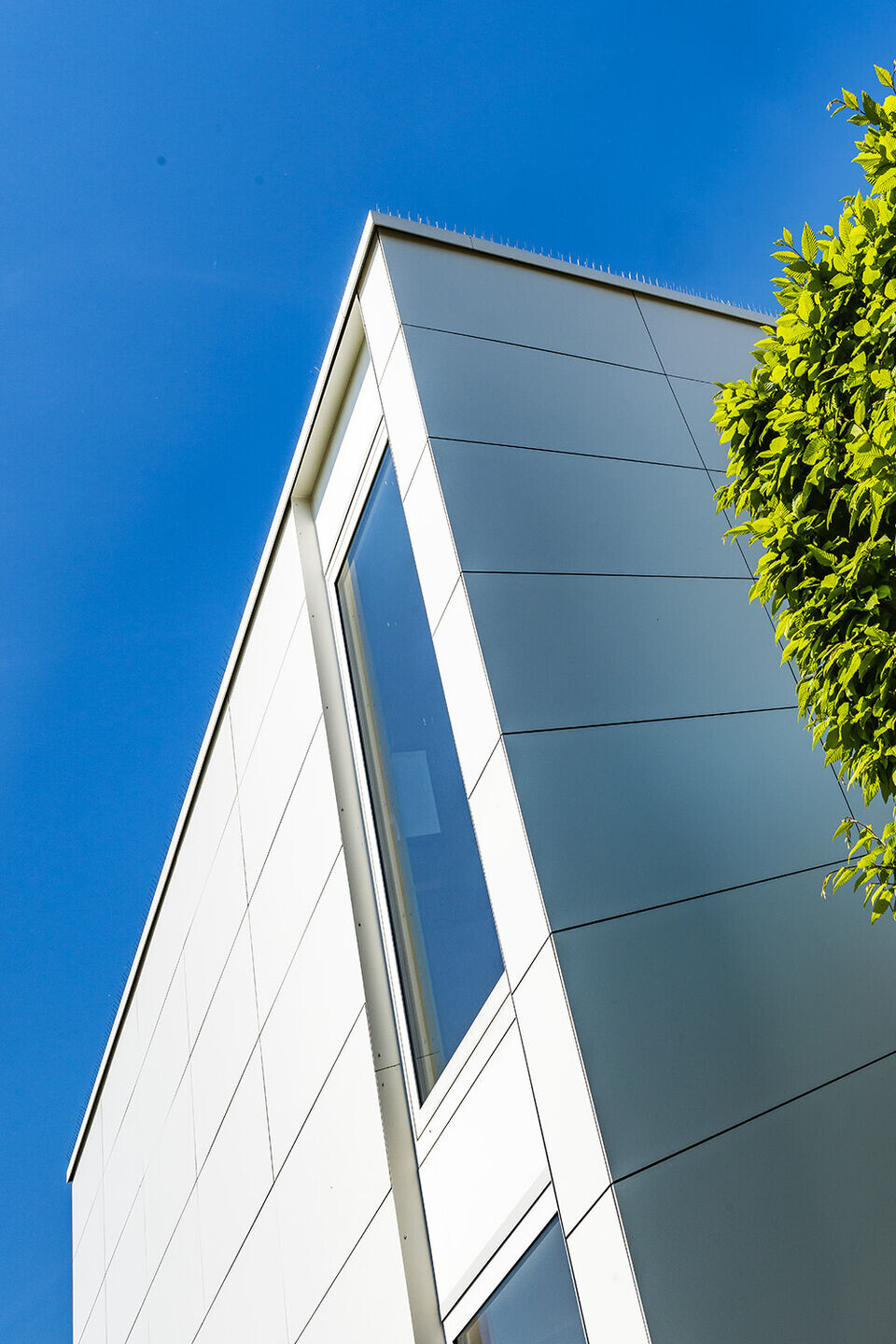 比利时现代住宅外观改造丨Belgium丨Wim Smekens-11