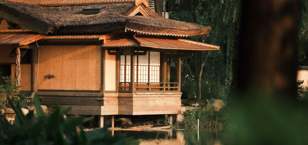 叁参茶空间丨宁波叁参文化-32