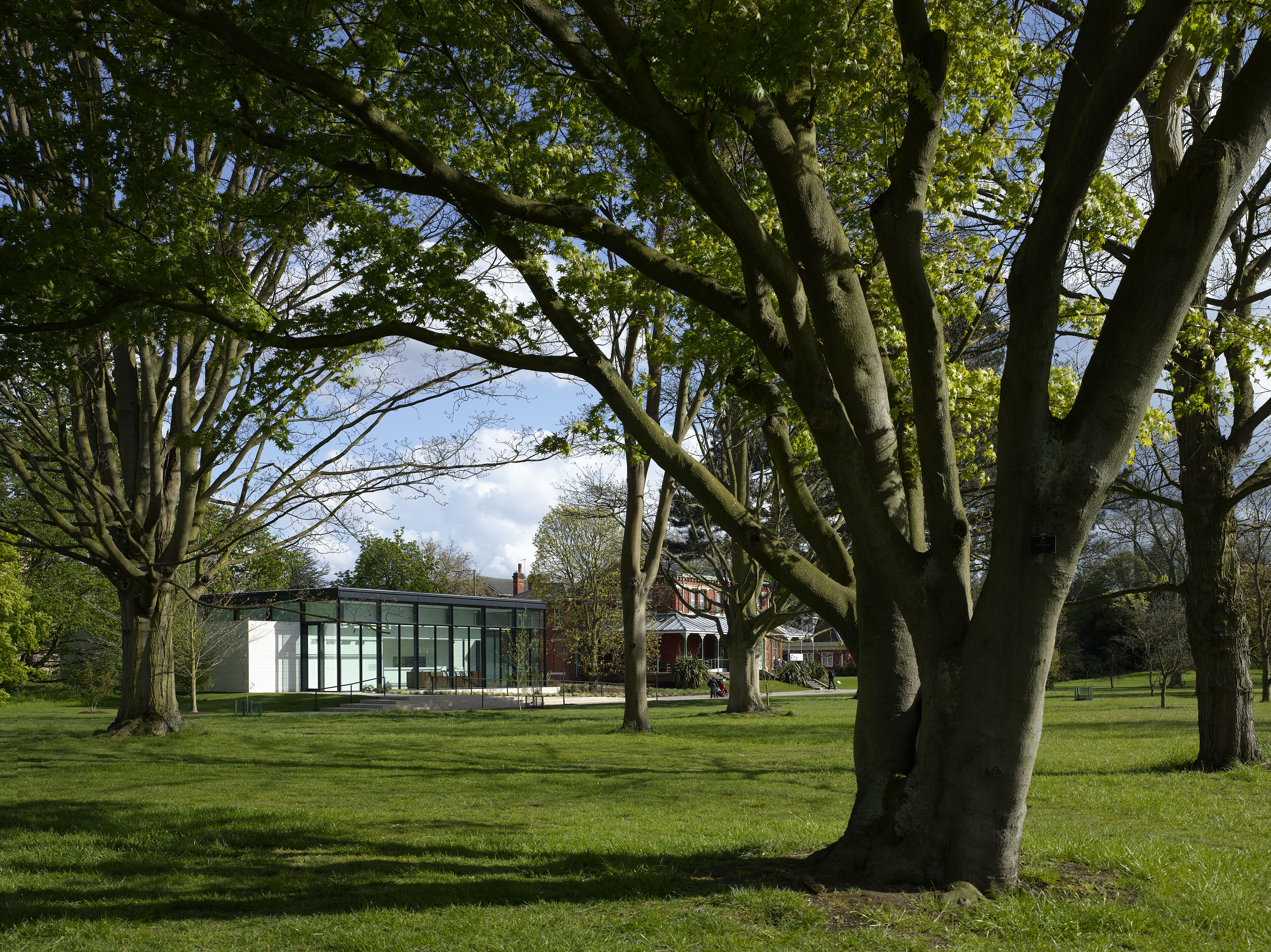 邱园植物艺术画廊(雪莉舍伍德美术馆)-11