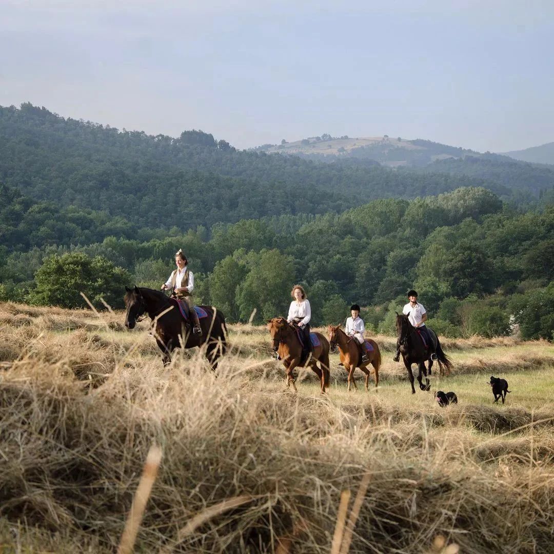 意大利千年古堡改造成奢华酒店,领略中世纪魅力-121
