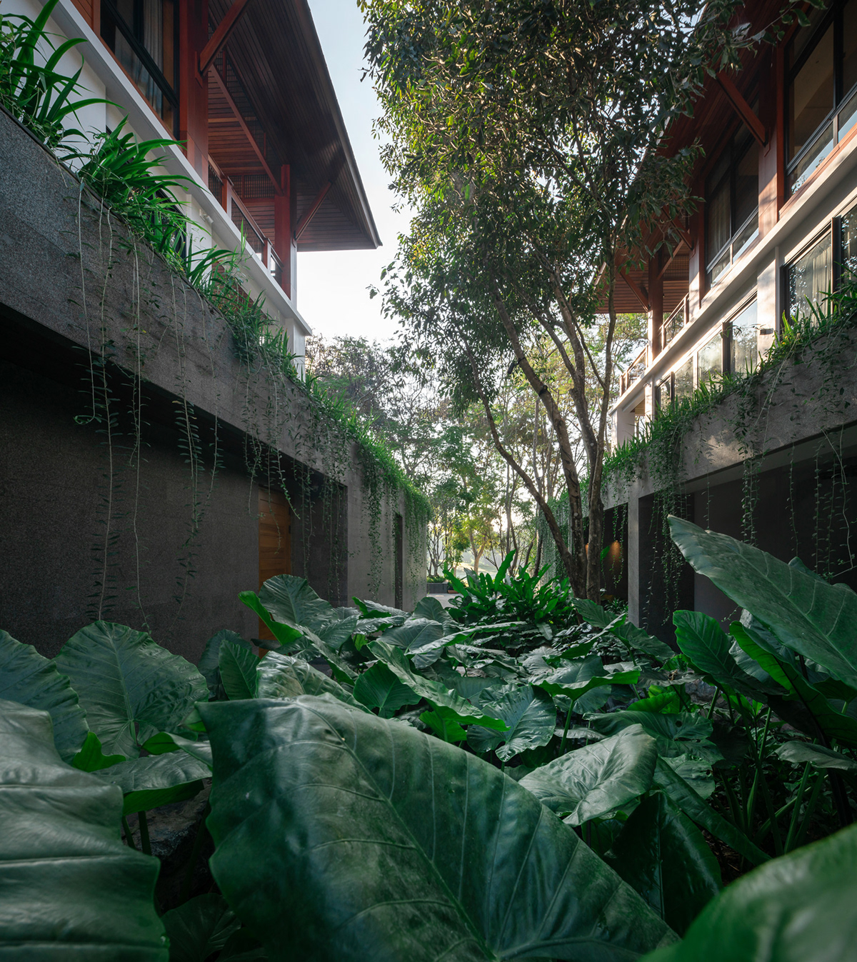 PRIVATE RESIDENCE 私人住宅丨泰国清莱丨GROUND ARCHITECTS-25