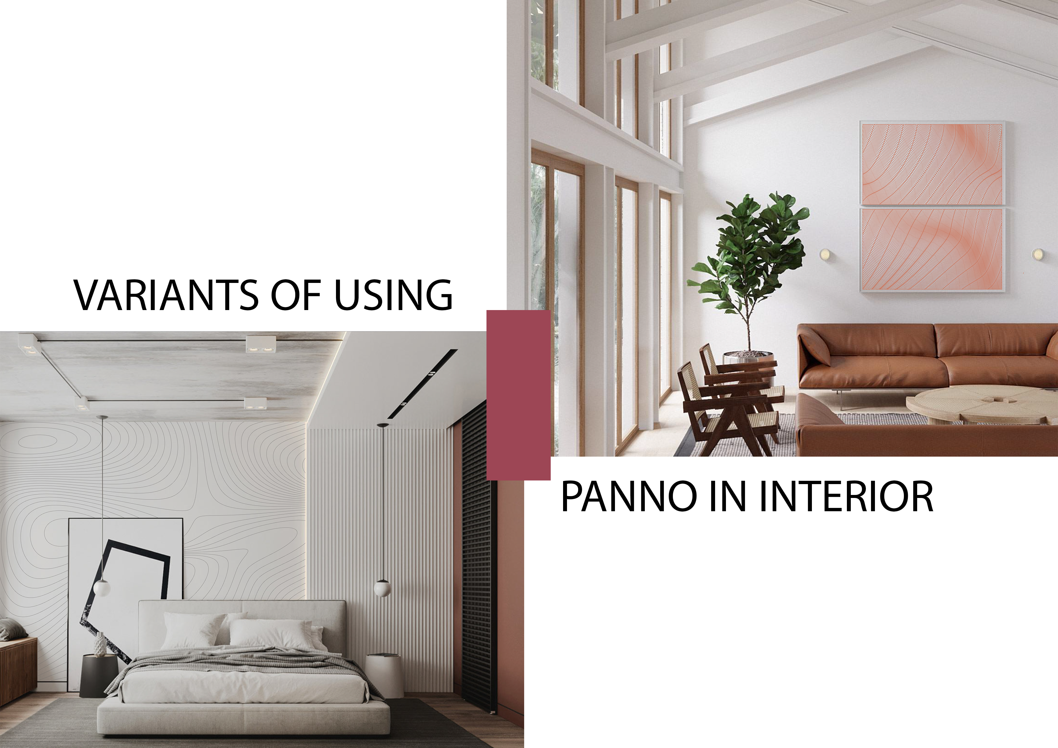 Rhinoceros portfolio-5