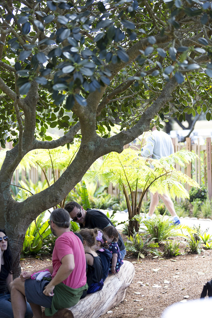 伊恩波特儿童野趣游乐公园,悉尼 / ASPECT Studios-18