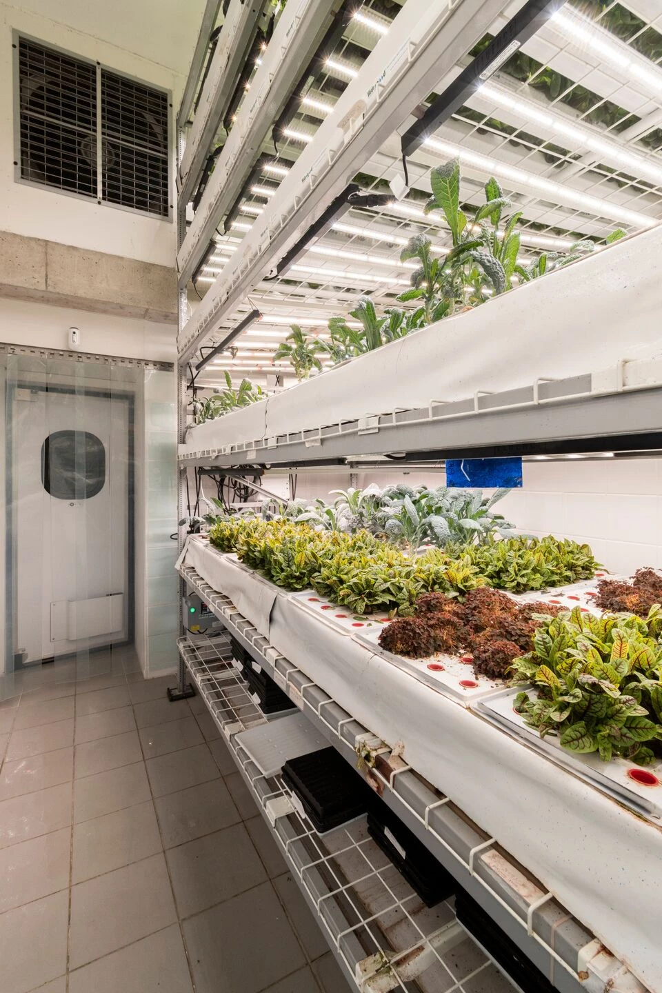 Fazenda Cubo 水培种植丨巴西圣保罗丨Estúdio Lava-5