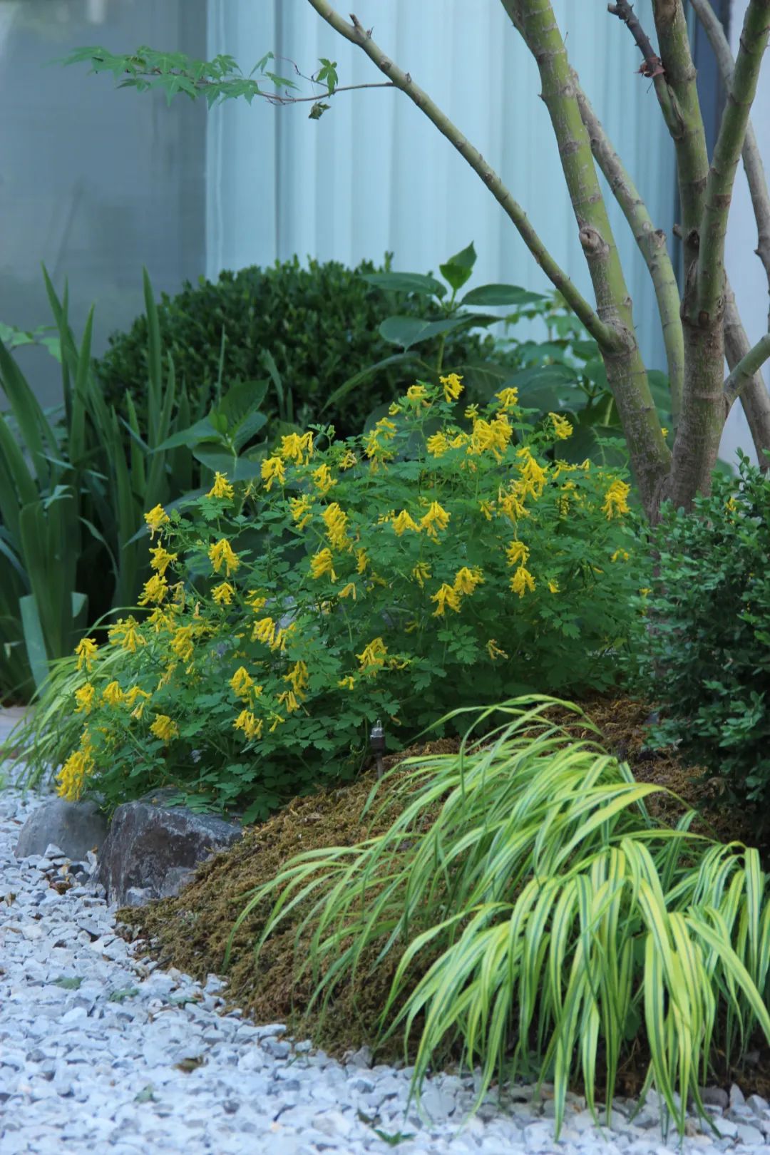 简约自然混搭花园设计丨中国顺义丨佟亚荣-49