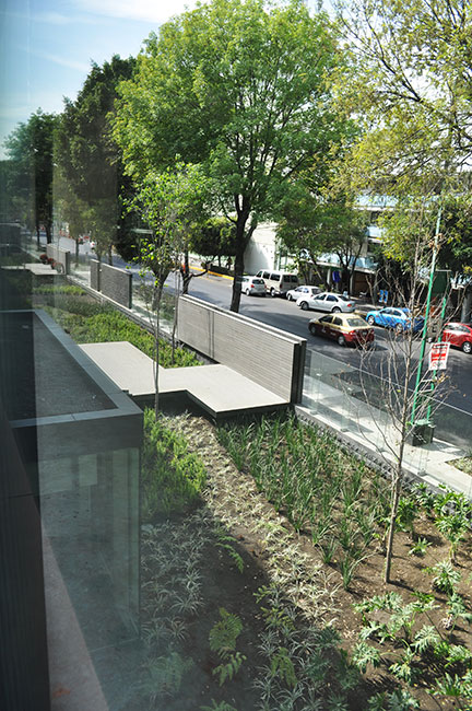 墨西哥城 Coyoacán 企业园区景观设计-22