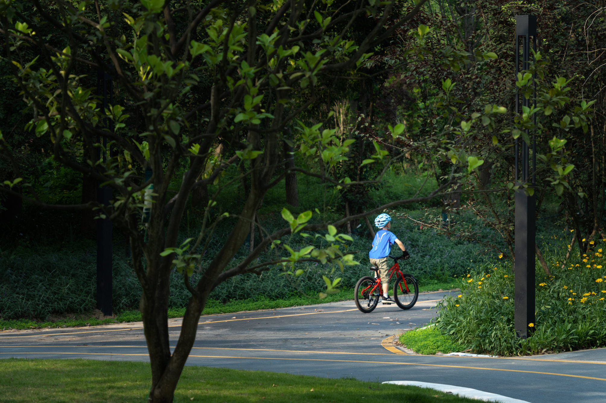 重庆华侨城滨江休闲带丨中国重庆丨WTD纬图设计-66