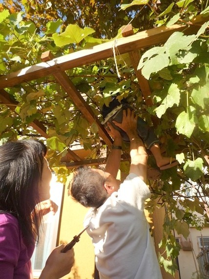 新琴似森山家“公園が庭の家”翻新丨株式会社スロウル-21